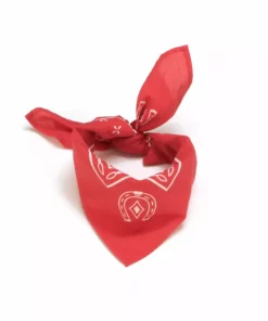 Lucchese-inc Western Bandana :: Red Other Accessories