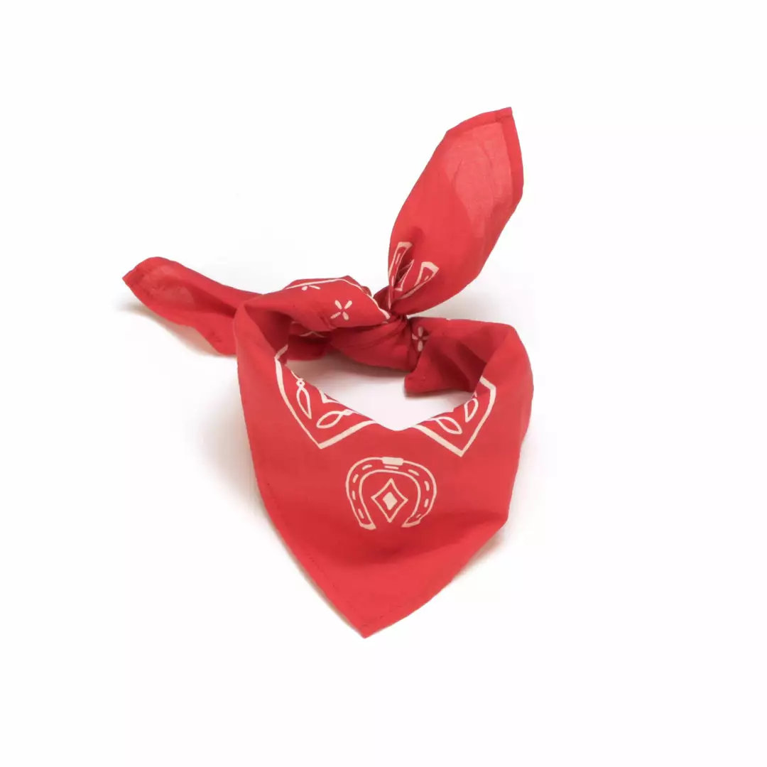 Buy โจ Lucchese-inc Western Bandana :: Red Other Accessories ๐ 4 Lucchese-inc Western Bandana :: Red Other Accessories
