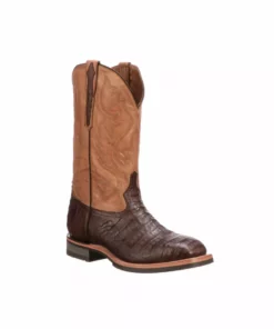 Lucchesse-inc Rowdy Caiman :: Chocolate