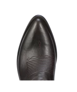 Lucchesse-inc Dina :: Brown