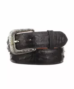 Lucchese-inc Full Quill Ostrich :: Black Belts