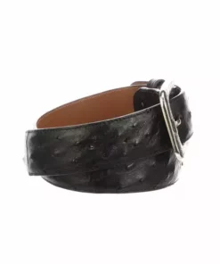 Lucchese-inc Full Quill Ostrich :: Black Belts