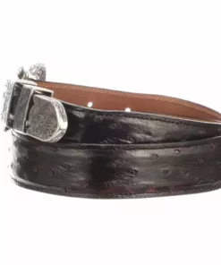 Lucchese-inc Full Quill Ostrich Tapered :: Black Cherry Belts