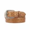 Lucchese-inc Full Quill Ostrich :: Cognac Belts