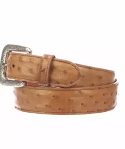 Lucchese-inc Full Quill Ostrich :: Cognac Belts