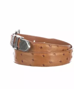 Lucchese-inc Belts Full Quill Ostrich Tapered :: Cognac