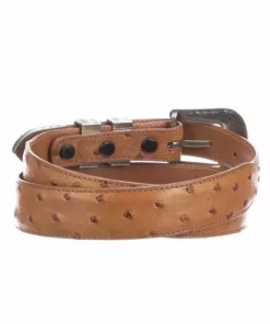 Lucchese-inc Belts Full Quill Ostrich Tapered :: Cognac