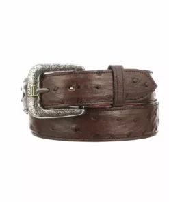 Lucchese-inc Belts Full Quill Ostrich :: Sienna
