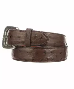 Lucchese-inc Belts Full Quill Ostrich :: Sienna
