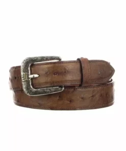 Lucchese-inc Belts Full Quill Ostrich :: Barnwood