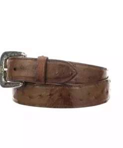 Lucchese-inc Belts Full Quill Ostrich :: Barnwood