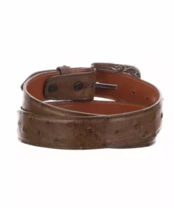 Lucchese-inc Belts Full Quill Ostrich :: Barnwood