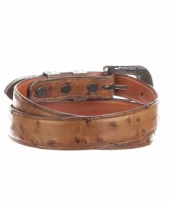 Lucchese-inc Full Quill Ostrich Tapered :: Barnwood