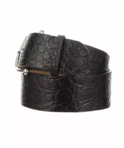 Lucchese-inc Equestrian Belt :: Giant Gator